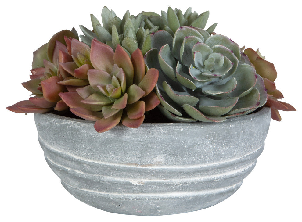 Peoria Succulent Accent