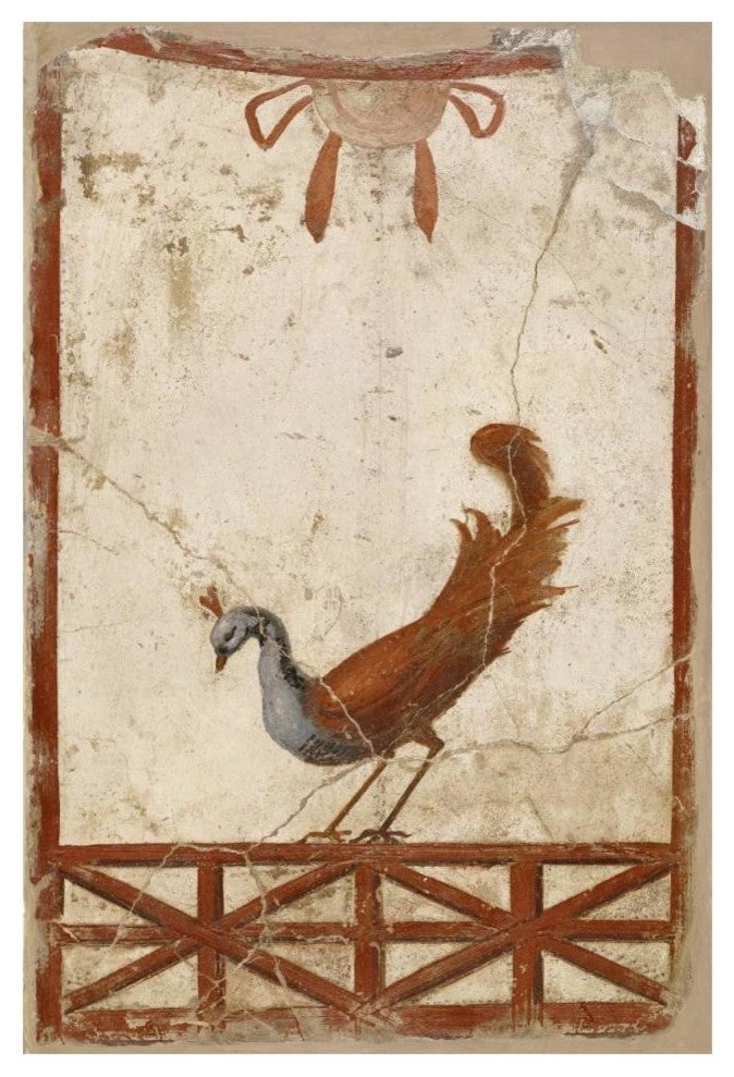 "Wall Fragment with a Peacock" Print 1st Century Roman Artisan, 14"x20"