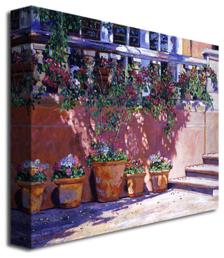 'Tuscan Plaza' Canvas Art by David Lloyd Glover
