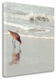 "Soft Sea" By Myan Soffia, Giclee Print on Gallery Wrap Canvas, Ready to Hang