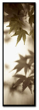 Alan Blaustein ''Florison 97'' Canvas Art, 8x24