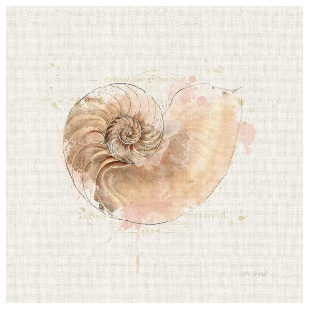 "Shell Collector II" Digital Paper Print by Katie Pertiet, 38"x38"