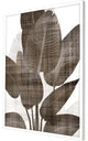 Earthy Palm II Framed Art