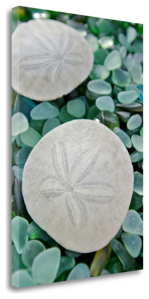 22" Two Sandollars and Colorful Seaglass Giclee Wrap Canvas Wall Art
