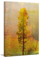 "Griffith Park" Painting Print on Canvas by Aryai