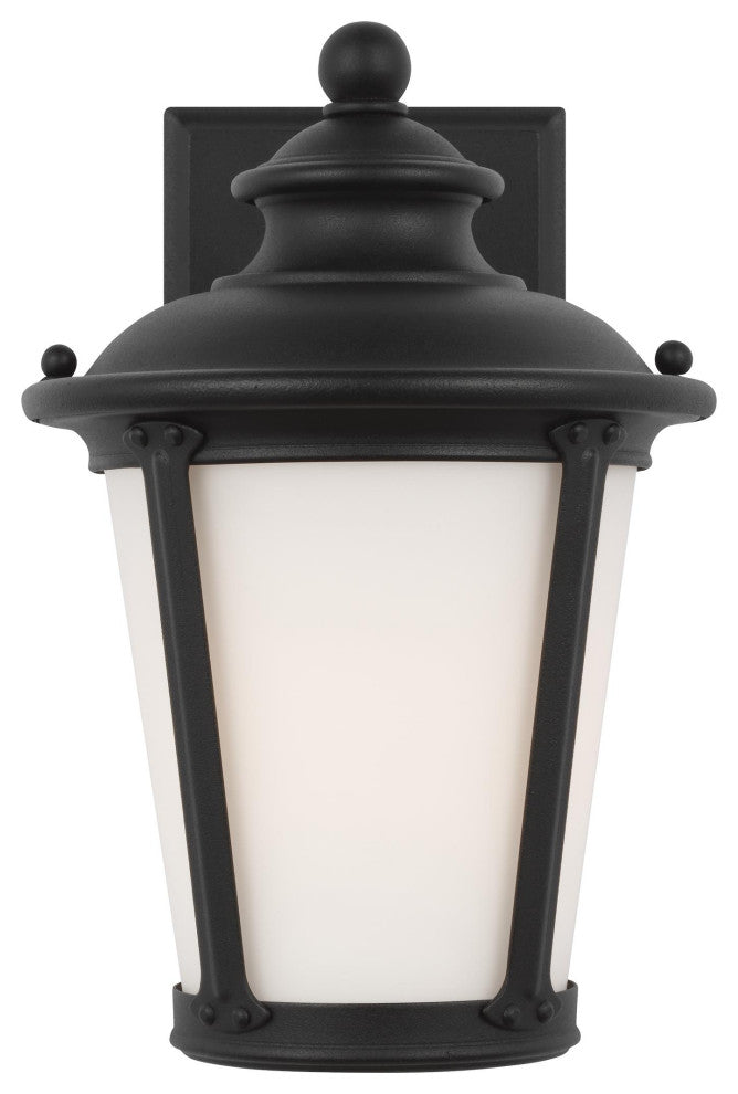 Cape May 1-Light Outdoor Wall Lantern, Black