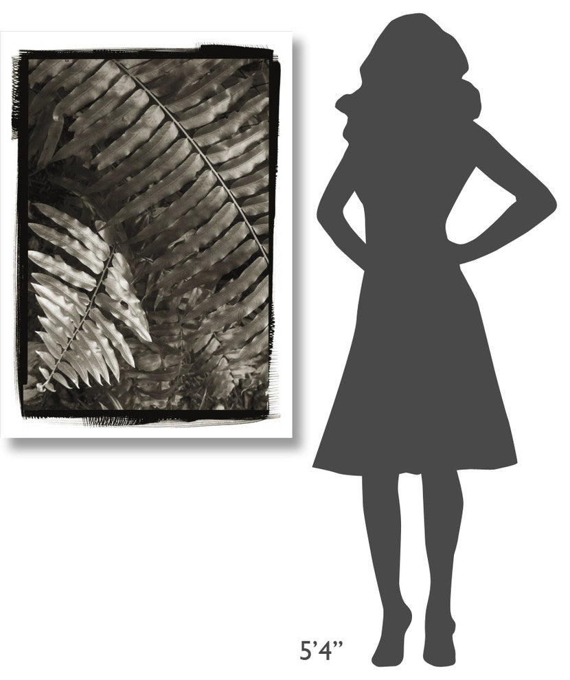 "Fern I v2" Digital Paper Print by Debra Van Swearingen, 30"x42"