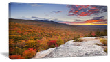 Endless Forests in Fall Foliage, Landscape Canvas Art Print, 32"x16"