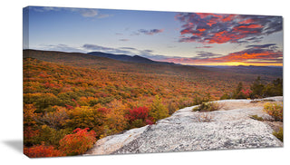 Endless Forests in Fall Foliage, Landscape Canvas Art Print, 32"x16"