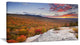 Endless Forests in Fall Foliage, Landscape Canvas Art Print, 32"x16"