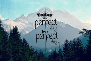 "A Perfect Day" Painting Print on Wrapped Canvas