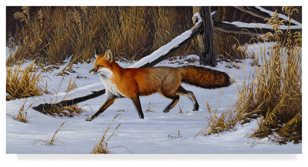Wilhelm Goebel 'Fox Trot Red Fox' Canvas Art, 19"x10"