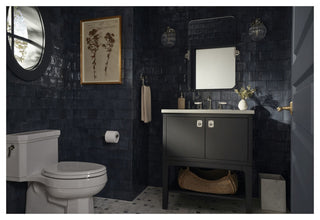 Castia by Studio McGee Wall Mounted Pivoting Toilet Paper Holder