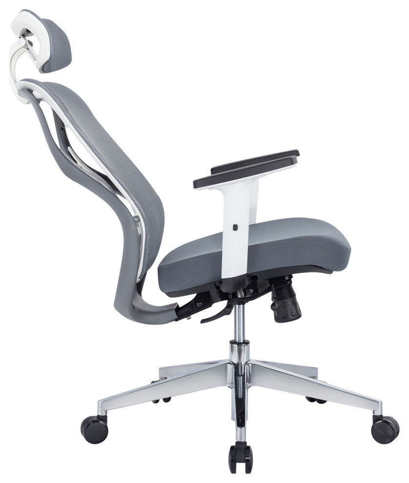 Elite Living Omega Ergonomic Fully Adjustable Home Office Chair