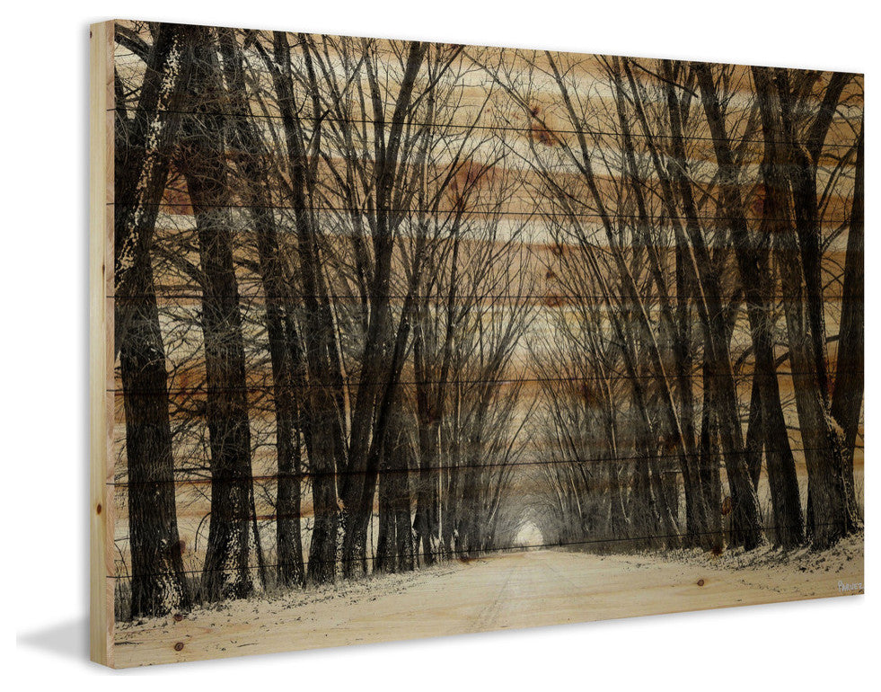 "Tree Path" Print on Natural Pine Wood, 60"x40"