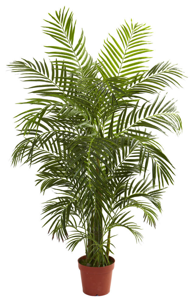 4.5' Areca Palm, UV Resistant, Indoor and Outdoor
