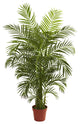 4.5' Areca Palm, UV Resistant, Indoor and Outdoor