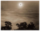 "Solar Eclipse from Santa Lucia Range, January 1, 1889" Paper Art, 18"x14"