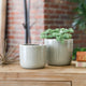 Ceramic Pot Gloss, Green