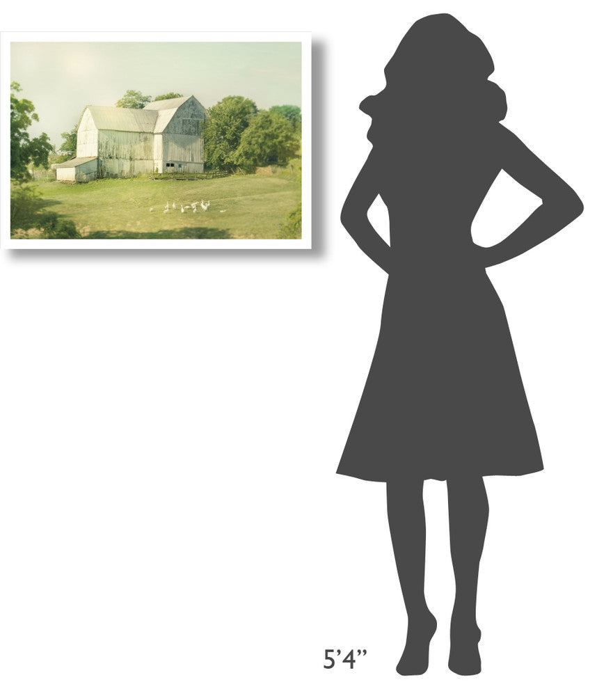 "Farm Morning III" Digital Paper Print by Sue Schlabach, 32"x22"