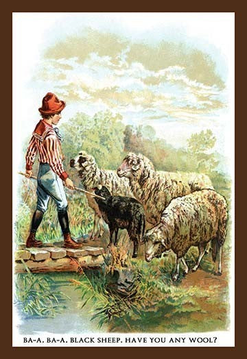 Ba - A Ba - A Black Sheep - Fine Art Giclee Print 24" x 36"