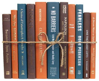 Decorative Books - Rustic Spruce Book Bundle - 1 foot of Orange and Blue Books