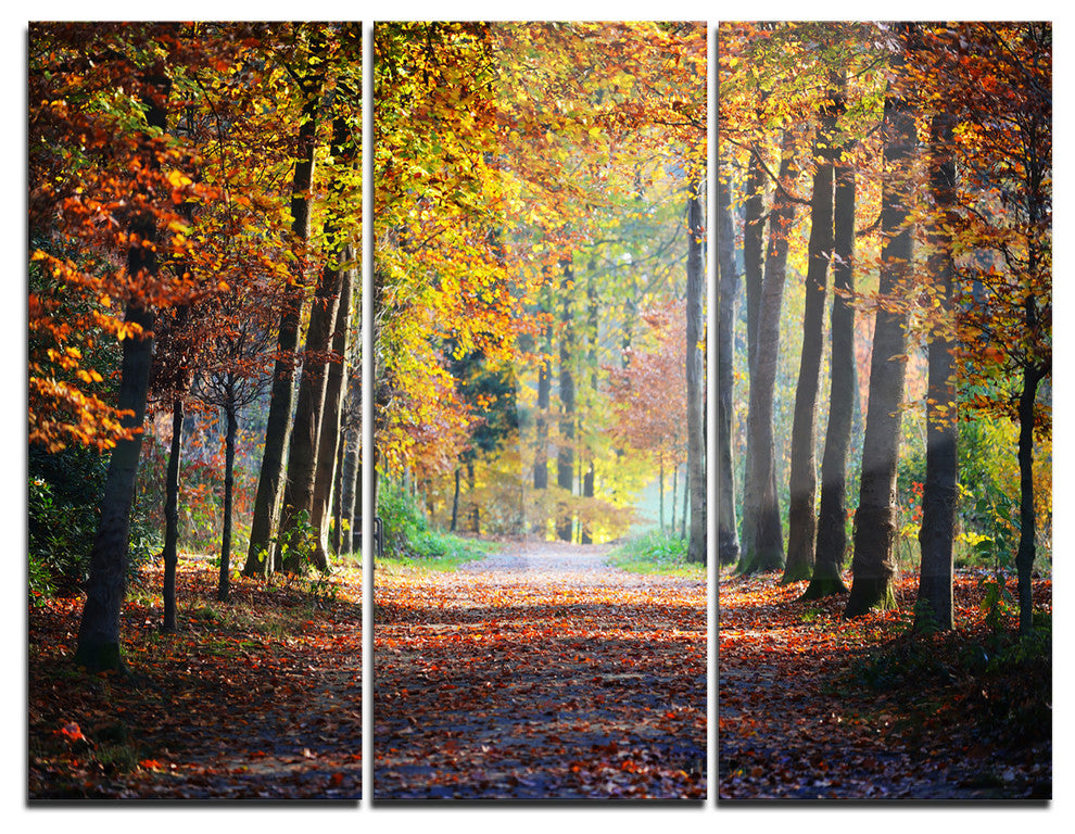 "Wide Pathway in Yellow Fall Forest" Photo Metal Wall Art, 3 Panels, 36"x28"