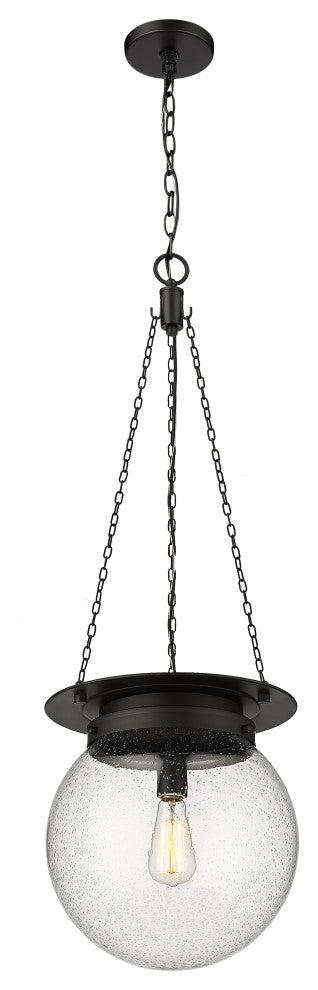 Z-LITE 1-Light Pendant, Matte black