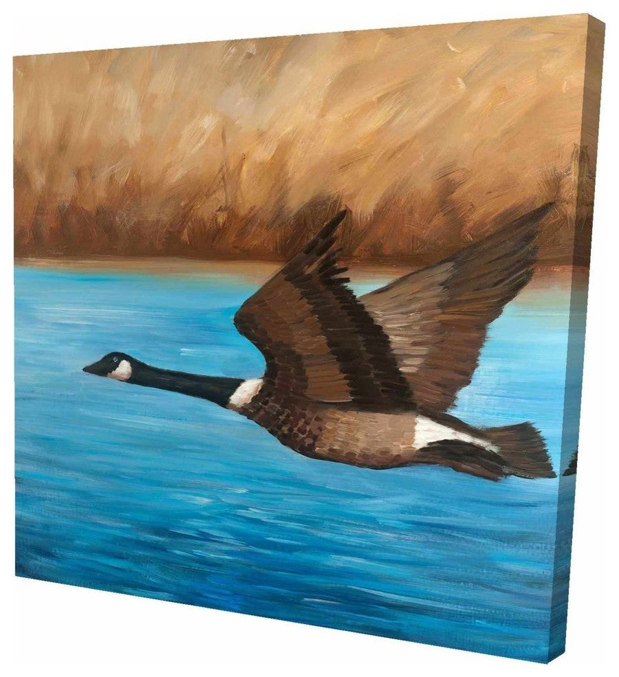 Flying Bustard, Fine Art Gallery Wrapped Canvas, 24"x24"x1.5''
