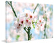 "Spring Blooming" Painting Print on Canvas by Irena Orlov