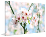 "Spring Blooming" Painting Print on Canvas by Irena Orlov