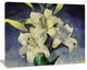 White Lilies on Blue Watercolor, Floral Canvas Art Print, 20"x12"