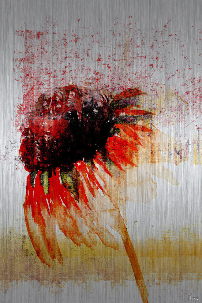 "Flower 4" UV Ink Print on Brushed  Aluminum, 30"x45"