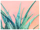 Ready2HangArt 'Aloe Need' Wrapped Canvas Succulent Wall Art, 12"x16"