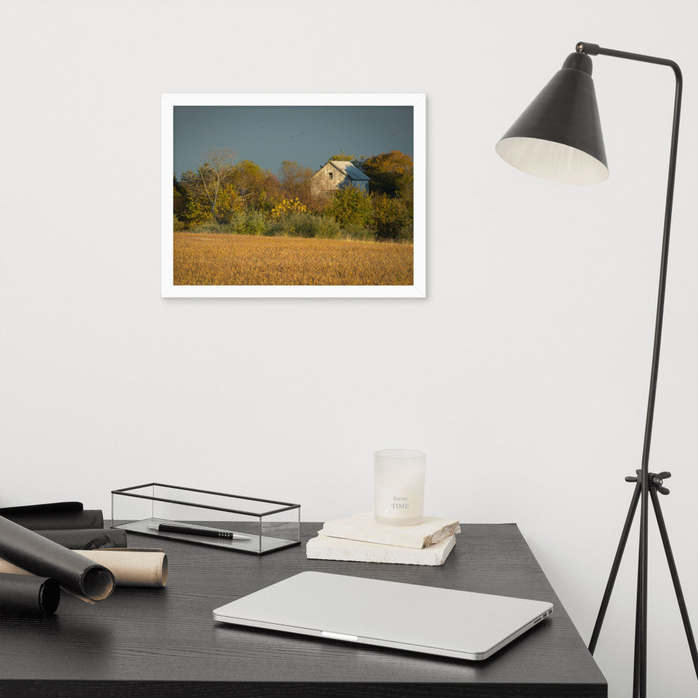 Abandoned Barn In The Trees Framed Photo Paper Wall Art Prints, White, 12" X 16"