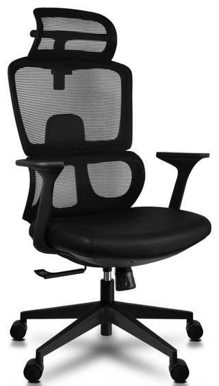 Ergonomic Office Mesh Chair with Lumbar Support Adjustable Armchair Tall Back