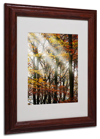 'Just the Light' Matted Framed Canvas Art by Philippe Sainte-Laudy