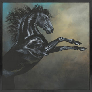 Dark Knight, 30 x 30