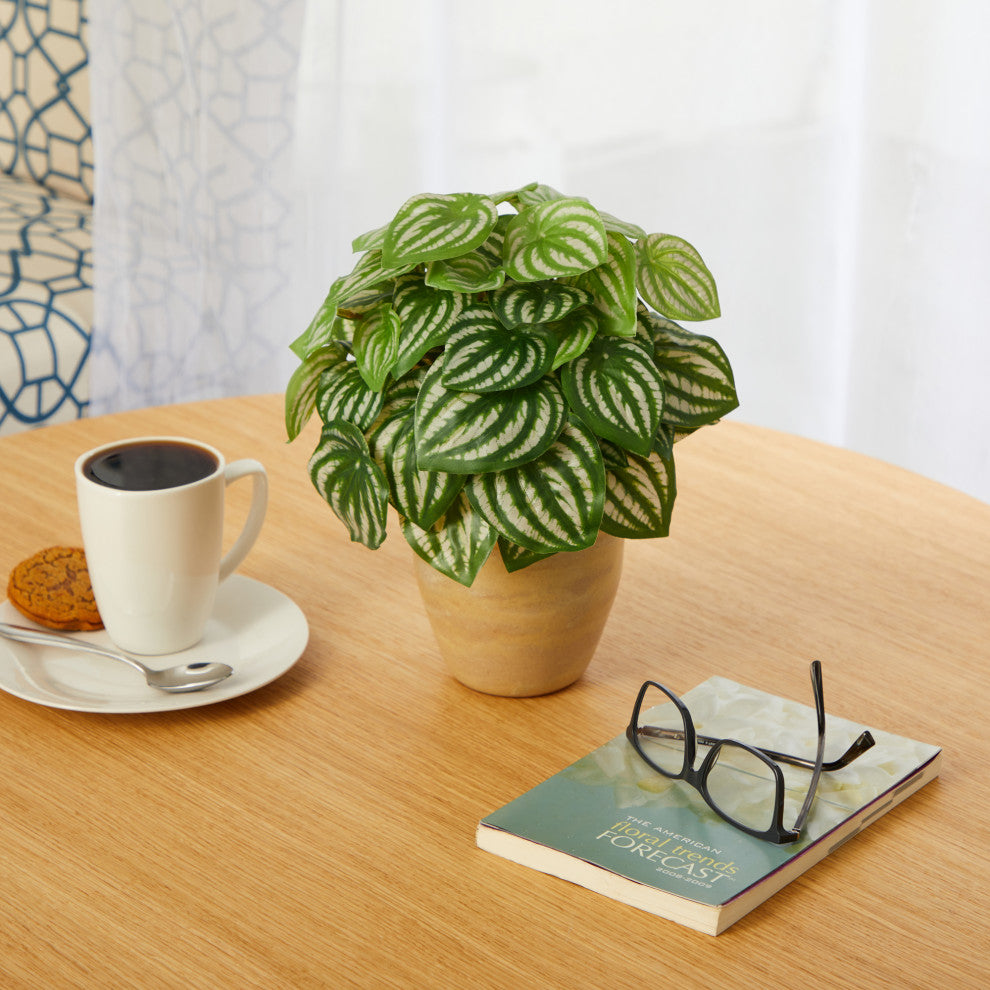 11" Watermelon Peperomia Artificial Plant, Ceramic Planter, Real Touch