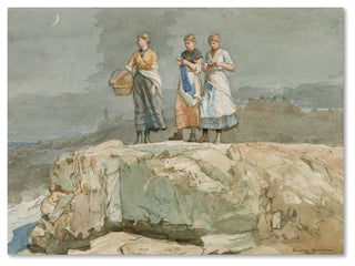 Winslow Homer 'The Cliffs' Canvas Art, 19 x 14