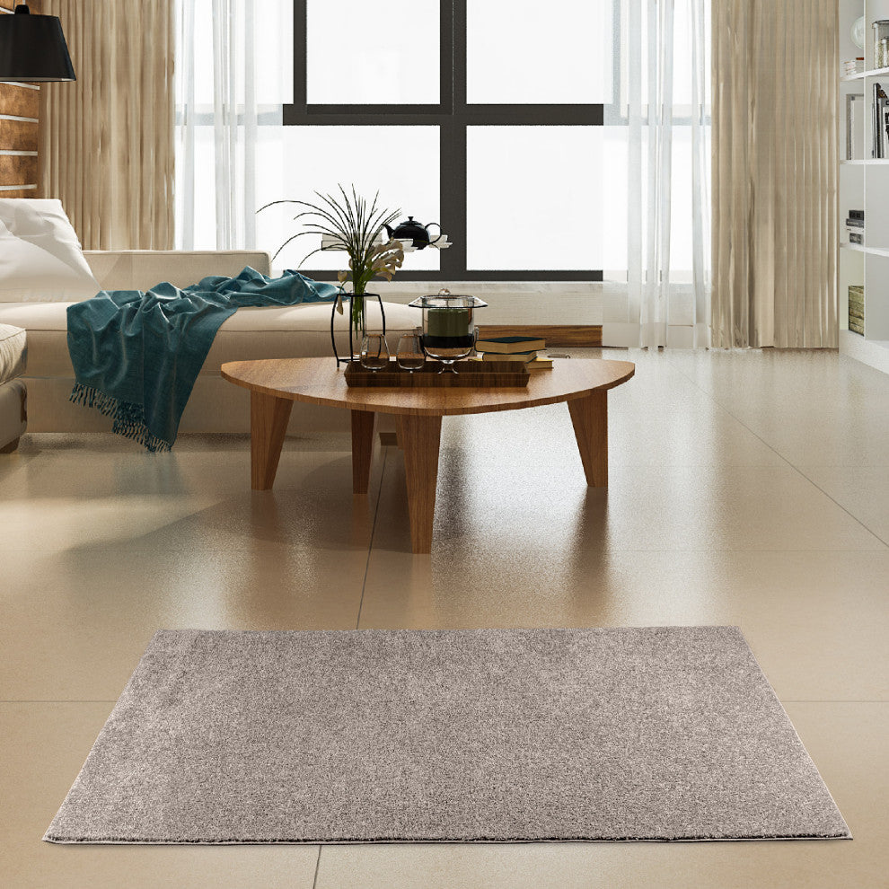 Modern Plush Solid - Pet and Kids Friendly Made in USA, Area Rug, 2' X 4'