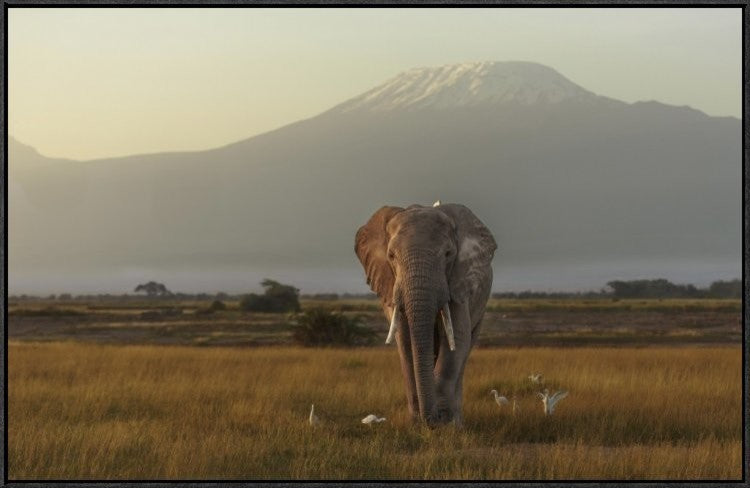Under The Roof Of Africa, 36"x24"