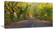 The Mall Area in Central Park, Large Landscape Canvas Art, 32"x16"