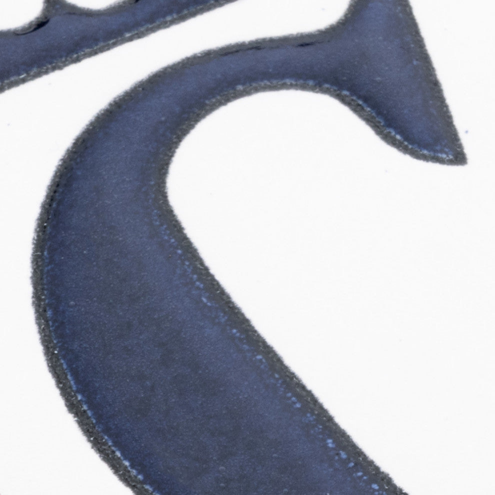 Sevillano Flora Letters 2-1/8 in. x 4-3/8 in. Ceramic Wall Tile, C