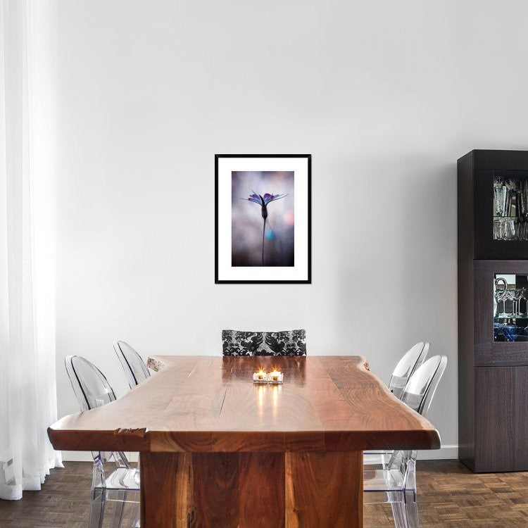 "Sylvidra" Framed Digital Print by Fabien Bravin, 22x30"