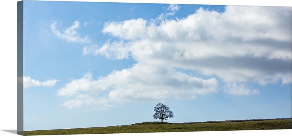 "Summer Breeze" Wrapped Canvas Art Print, 36"x16"x1.5"