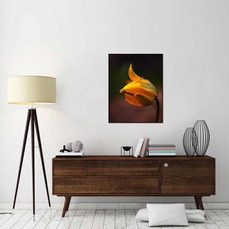 "Shine" Framed Canvas Giclee by Kent Mathiesen, 29x37"
