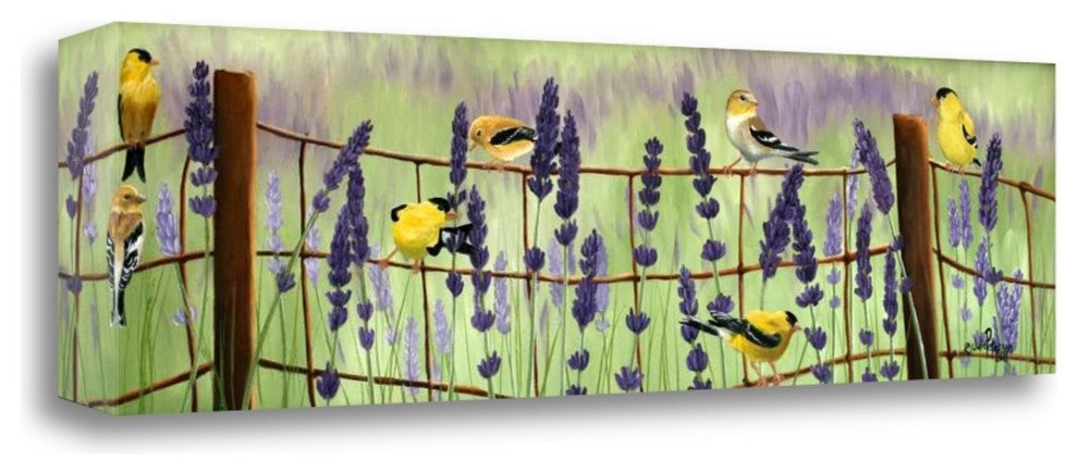 "Gold Finch And Lavendar" By Julie Peterson, Giclee Print on Gallery Wrap Canvas