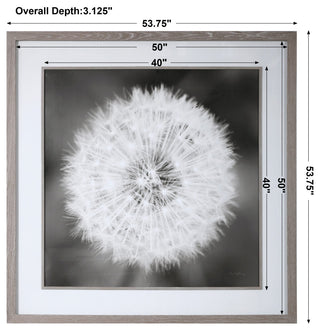 Uttermost Dandelion Seedhead Framed Print