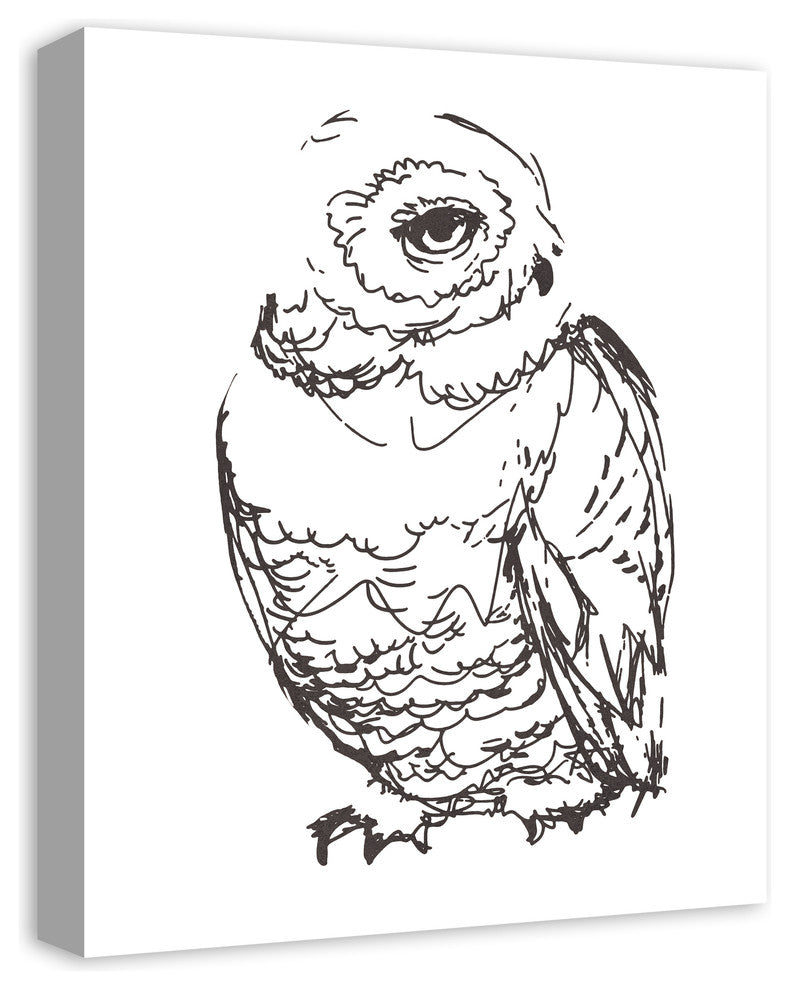 "Owl Sketch" Canvas Wall Art, 16"x20"